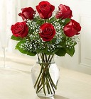 Love's Embrace Roses - Red From Ka'bloom, your flower shop in Sylvania, OH