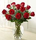Rose Elegance - Premium Long Stem Red Roses From Ka'bloom, your flower shop in Sylvania, OH