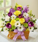 Springtime Wishes From Stellar, your flower shop in Sylvania, OH