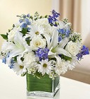 Healing Tears - Blue and White From Stellar, your flower shop in Sylvania, OH