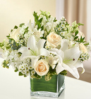 Healing Tears - All White From Ka'bloom, your flower shop in Sylvania, OH
