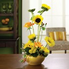 Birthday Morning Surprise From Stellar, your flower shop in Sylvania, OH