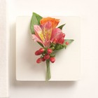 Sweetest Love Boutonniere From Ka'bloom, your flower shop in Sylvania, OH