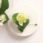 Forever Yours Boutonniere From Ka'bloom, your flower shop in Sylvania, OH
