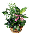 FTD French Garden From Stellar, your flower shop in Sylvania, OH